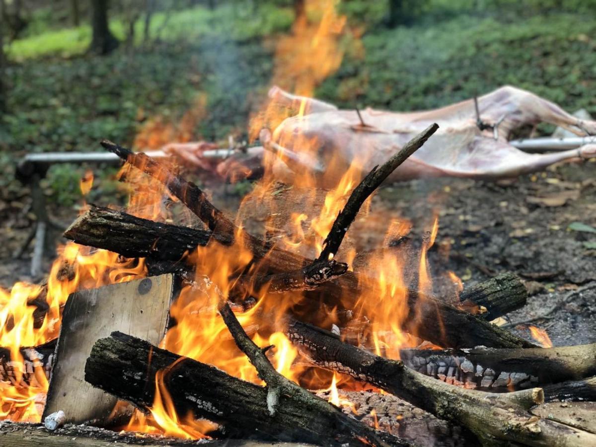 Baranja Black Hill's Gajic Bagian luar foto