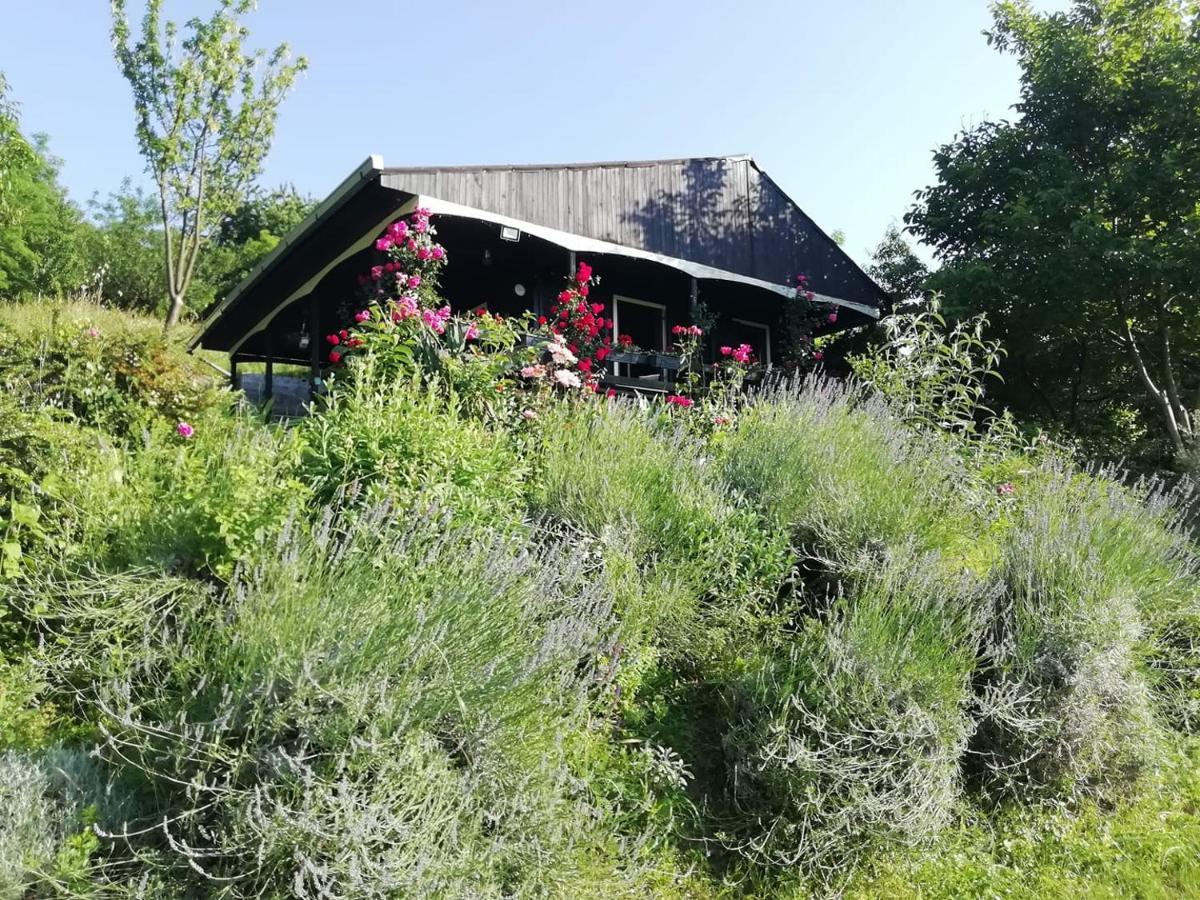 Baranja Black Hill's Gajic Bagian luar foto