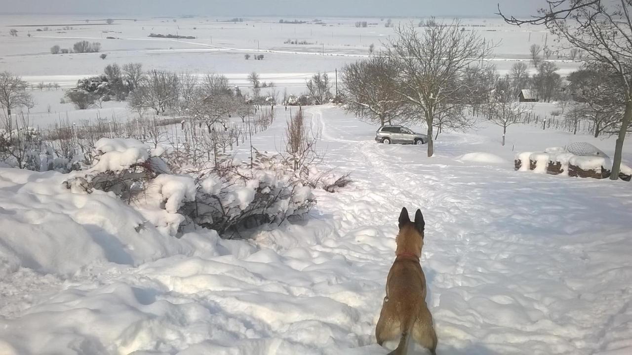 Baranja Black Hill's Gajic Bagian luar foto