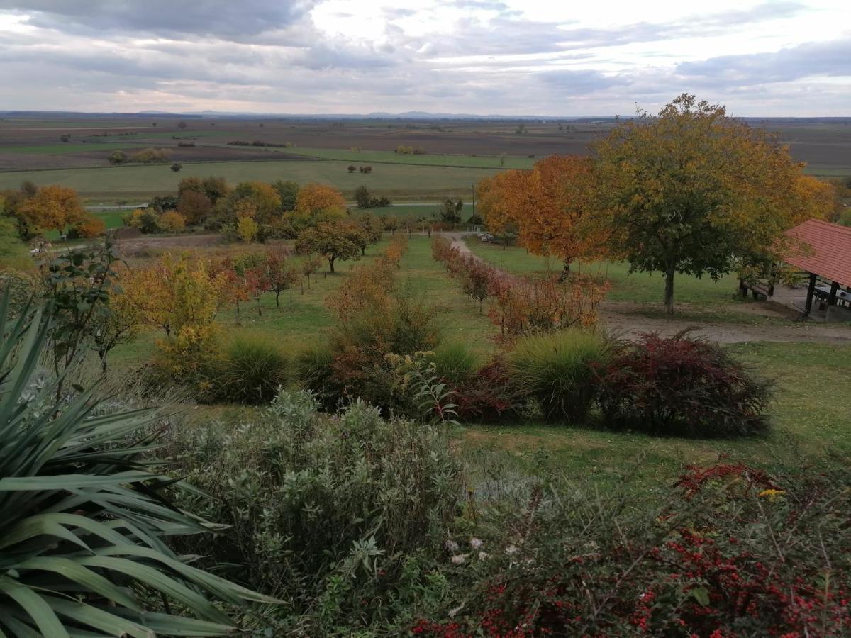 Baranja Black Hill's Gajic Bagian luar foto