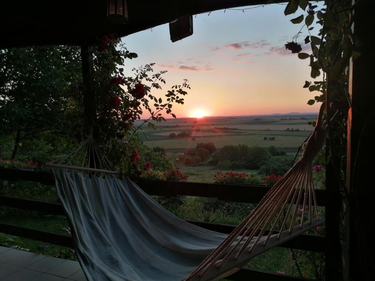 Baranja Black Hill's Gajic Bagian luar foto