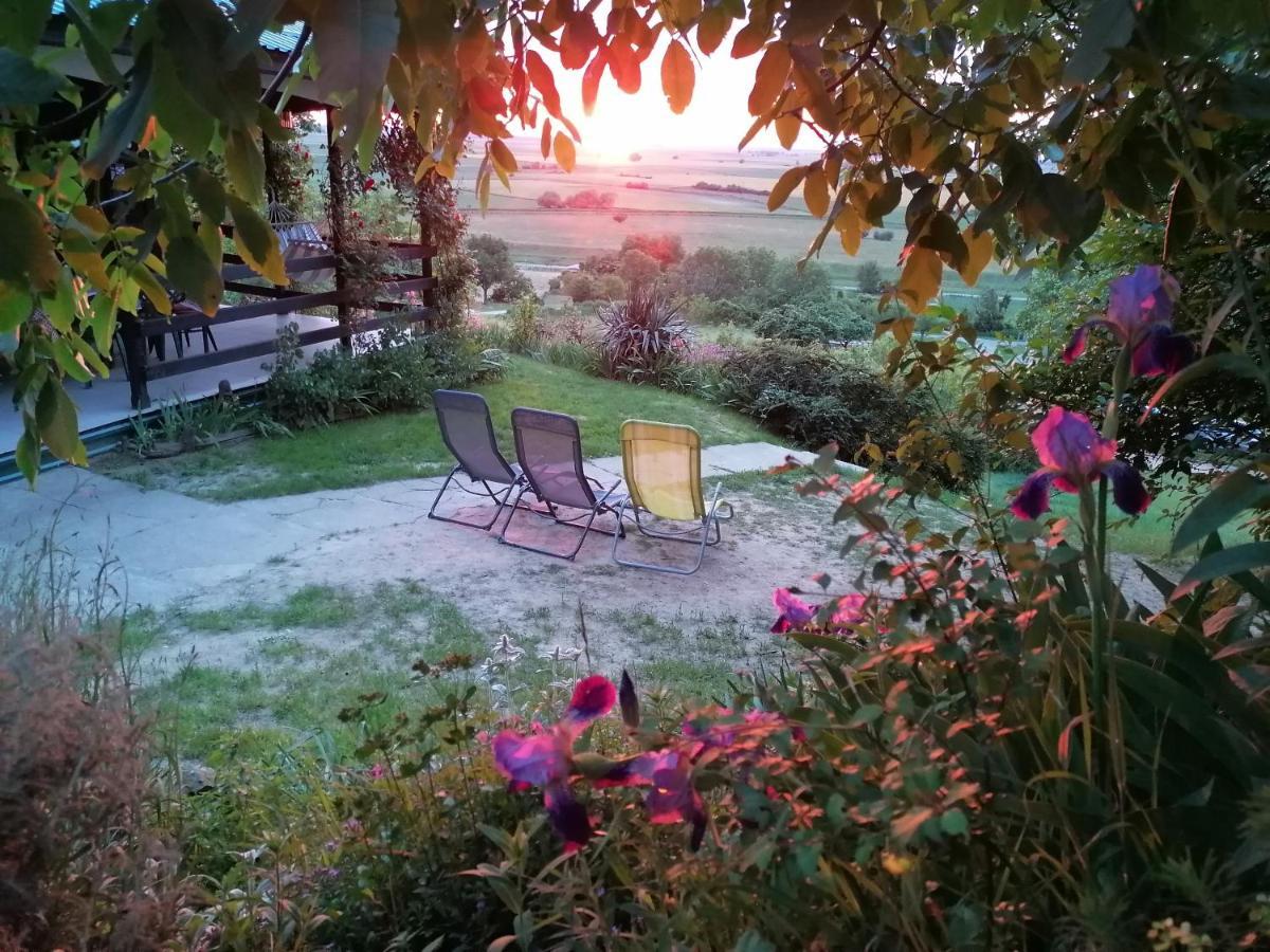 Baranja Black Hill's Gajic Bagian luar foto
