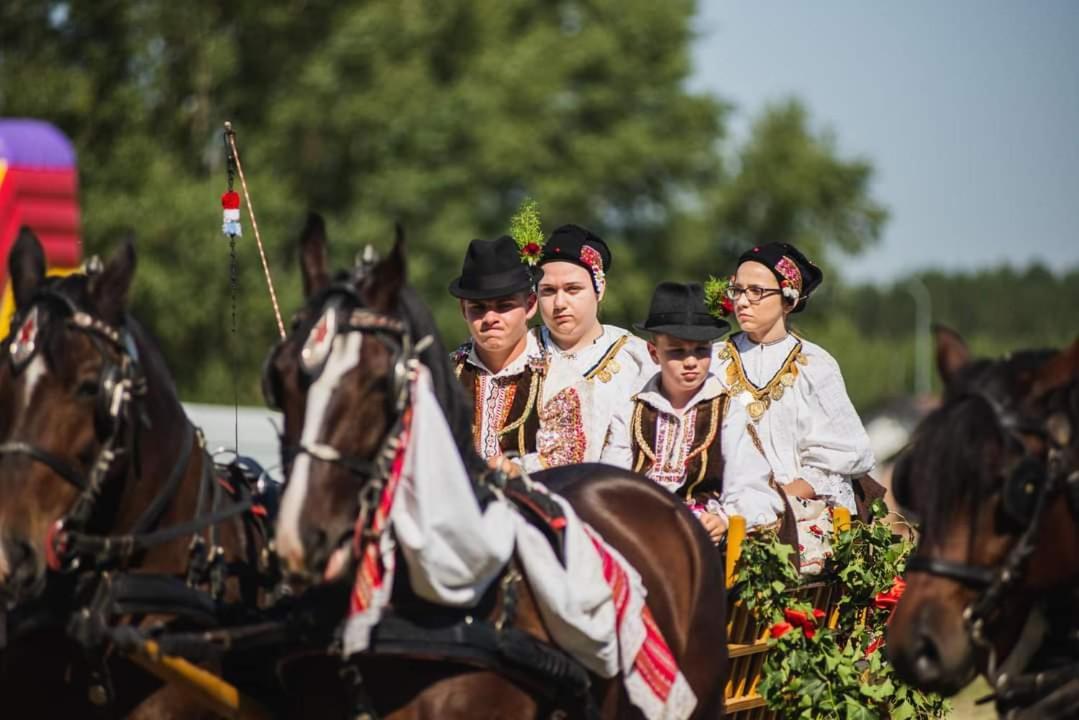 Baranja Black Hill's Gajic Bagian luar foto