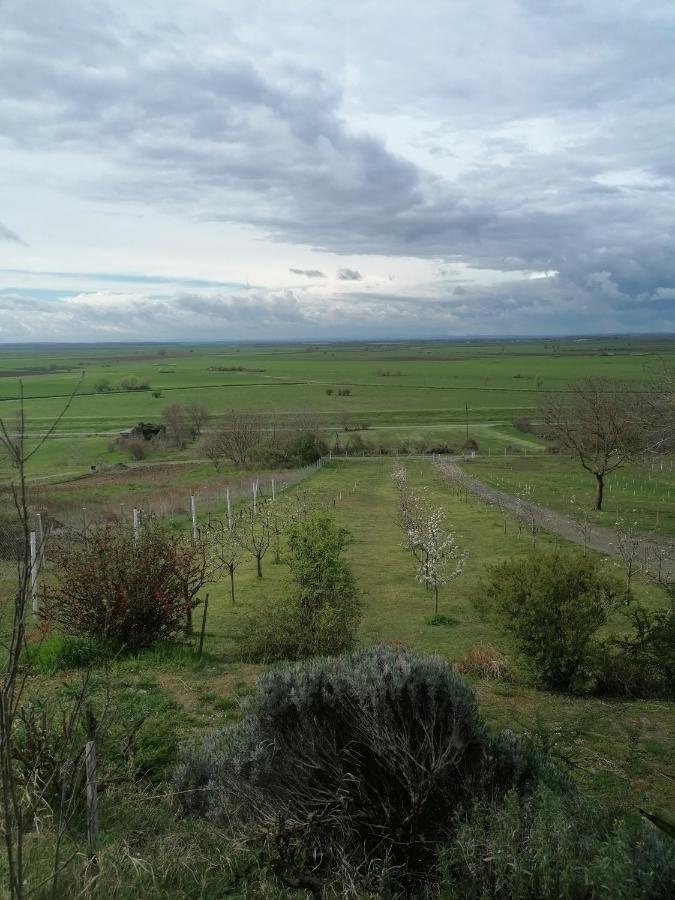 Baranja Black Hill's Gajic Bagian luar foto